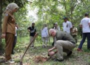 Pemprov Lampung Buka Peluang Kerja Sama Investasi Hijau untuk Perdagangan Karbon