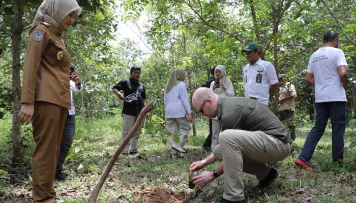 Pemprov Lampung Buka Peluang Kerja Sama Investasi Hijau untuk Perdagangan Karbon