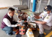 Karantina Lampung Amankan 5.250 Benih Sawit Ilegal yang Disamarkan sebagai Parcel