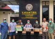 Karantina Lampung Amankan Puluhan Satwa yang Dilindungi di Pelabuhan Bakauheni