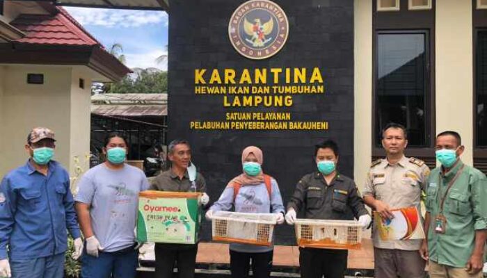 Karantina Lampung Amankan Puluhan Satwa yang Dilindungi di Pelabuhan Bakauheni