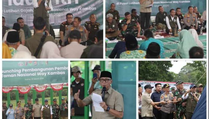 Pemerintah Bangun Pembatas 138 Km di Way Kambas, Solusi Permanen Konflik Gajah dan Manusia