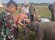 TNWK Adalah Kita, Bidik 1 Juta Wisatawan Datang ke Way Kambas