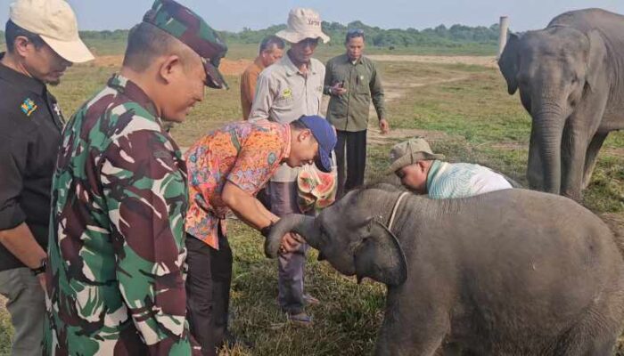 TNWK Adalah Kita, Bidik 1 Juta Wisatawan Datang ke Way Kambas