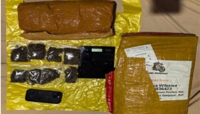 Polda Lampung Bongkar Jaringan Narkoba Medan-Bali Dapati 6 Kg Ganja Digagalkan